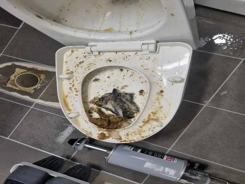 분당 변기막힘 작업사례 20