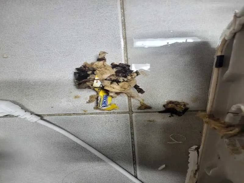 분당 변기 이물질 제거 사례 6